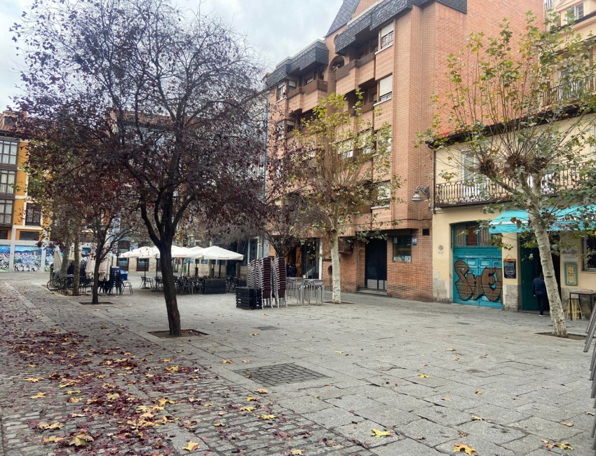 Alquiler - Piso -
Valladolid - Centro
