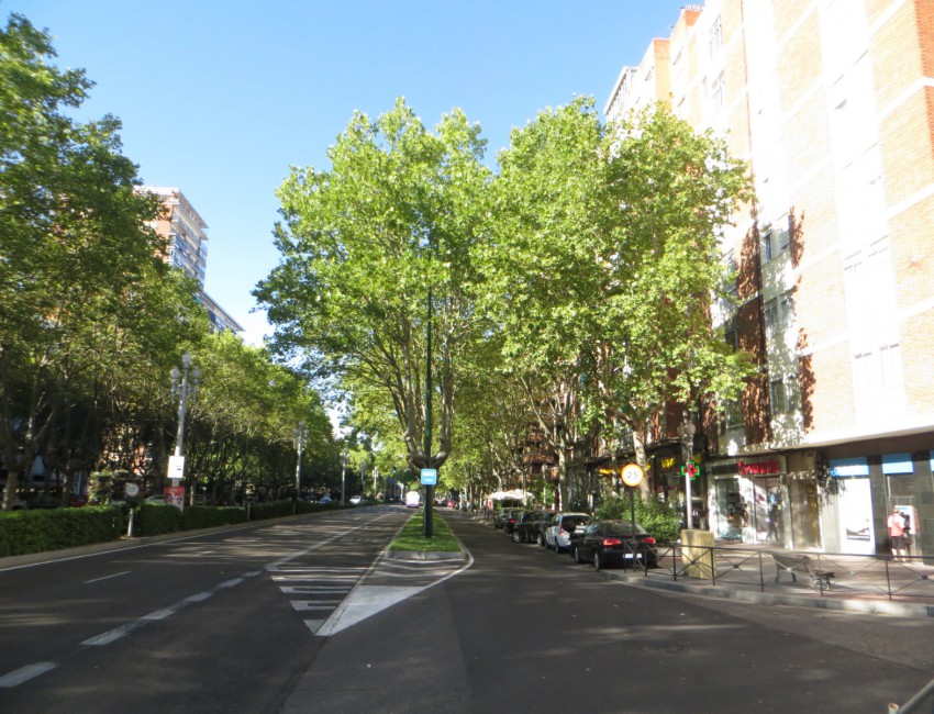 Venta - Piso -
Valladolid - Paseo Zorrilla