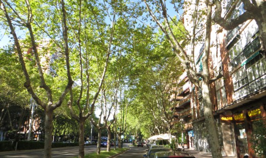 Venta - Piso -
Valladolid - Paseo Zorrilla