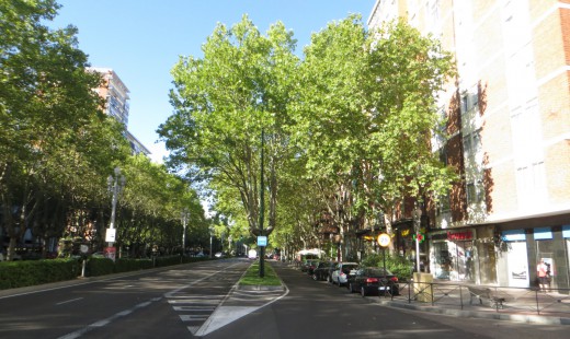 Venta - Piso -
Valladolid - Paseo Zorrilla