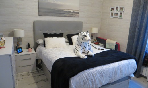 Venta - Piso -
Valladolid - Pajarillos