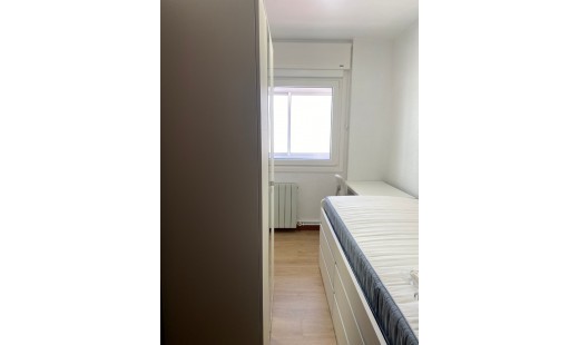 Alquiler - Piso -
Valladolid - Circular