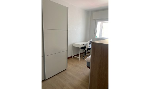 Alquiler - Piso -
Valladolid - Circular