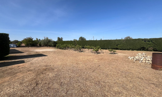 Venta - Chalet -
Dueñas