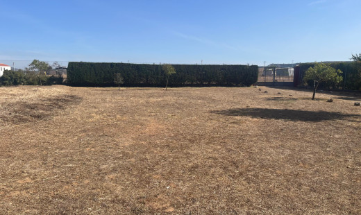 Venta - Chalet -
Dueñas