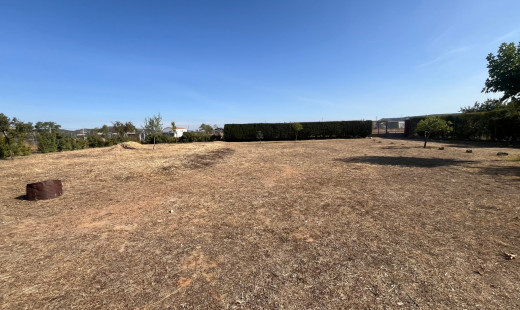 Venta - Chalet -
Dueñas