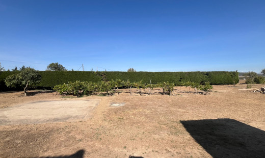 Venta - Chalet -
Dueñas