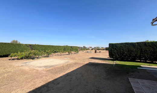 Venta - Chalet -
Dueñas